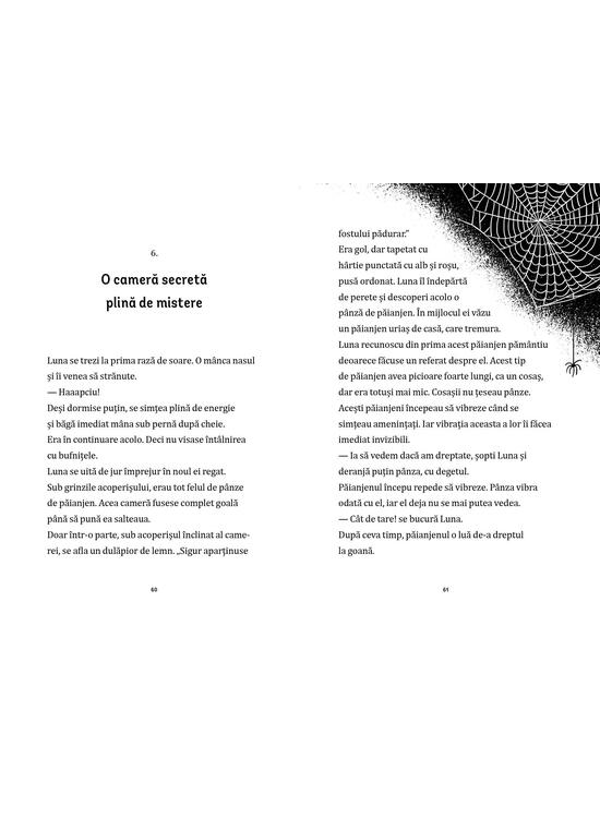 Copertă produs Bufnița cu o cheie în cioc (Vol. 1) - gallery big 9