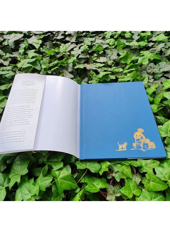 Copertă produs Încercări - gallery big 3