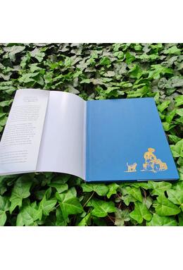 Copertă produs Încercări