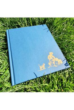 Copertă produs Încercări