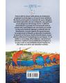 Copertă produs Aventuri &icirc;n timp: Vikingii - thumb 2