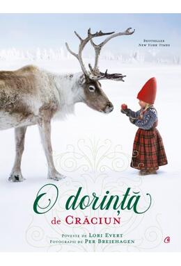 Copertă produs O dorință de Crăciun