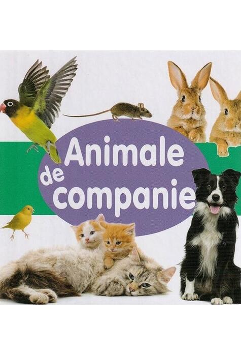 Copertă produs Animale de companie