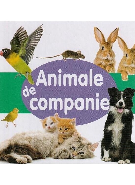 Copertă produs Animale de companie - gallery big 1