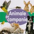 Copertă produs Animale de companie - gallery small 