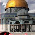 Copertă produs Israel și Palestina - gallery small 