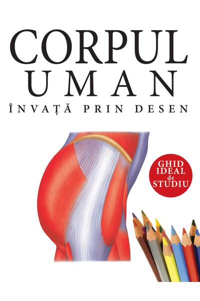 Corpul uman