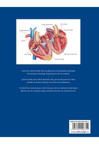Copertă produs Corpul uman