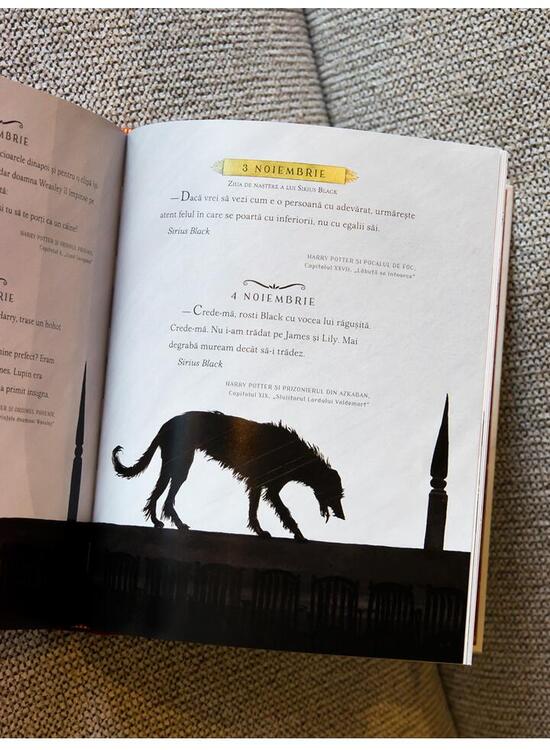 Copertă produs Harry Potter: Un an magic - gallery big 3