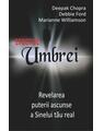 Copertă produs Efectul Umbrei - thumb 1