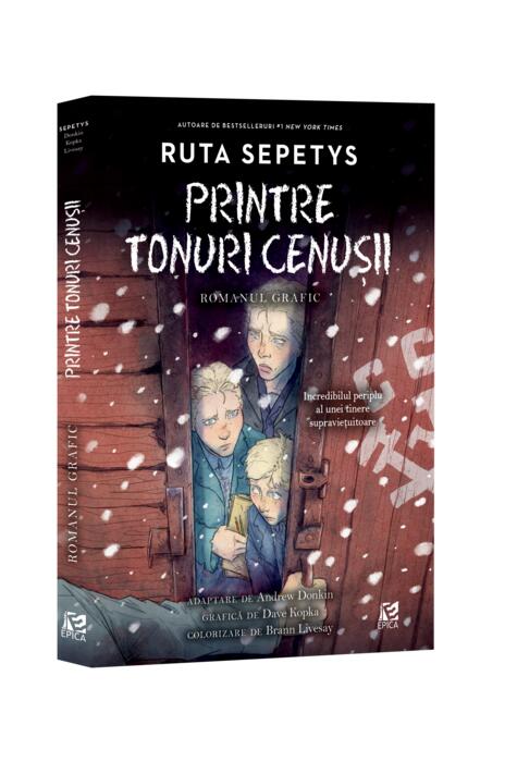 Copertă produs Printre tonuri cenușii