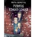 Copertă produs Printre tonuri cenușii - gallery small 