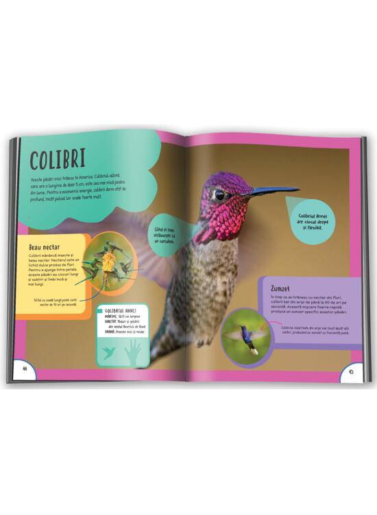 Copertă produs Prima mea enciclopedie despre animale - gallery big 3