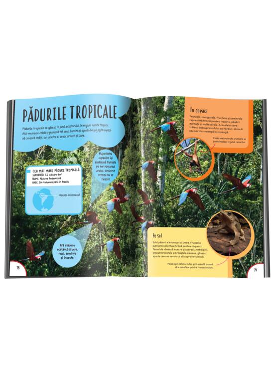 Copertă produs Prima mea enciclopedie despre Planeta Pământ - gallery big 4