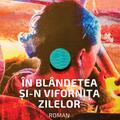 Copertă produs &Icirc;n bl&acirc;ndețea și-n vifornița zilelor - gallery small 