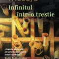 Copertă produs Infinitul &icirc;ntr-o trestie - gallery small 