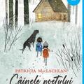 Copertă produs C&acirc;inele poetului - gallery small 