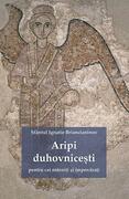 Aripi duhovnicești pentru cei osteniţi şi &icirc;mpovăraţi