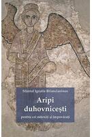 Imagine produs Aripi duhovnicești pentru cei osteniţi şi &icirc;mpovăraţi
