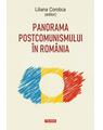 Copertă produs Panorama postcomunismului &icirc;n Rom&acirc;nia - thumb 1