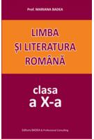 Imagine produs Limba și literatura rom&acirc;nă. Clasa a X-a