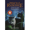 Copertă produs Pisicile războinice. Viziunea din umbre. Tunete și Umbre (Vol. 32)