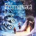 Copertă produs Promoroacă - gallery small 
