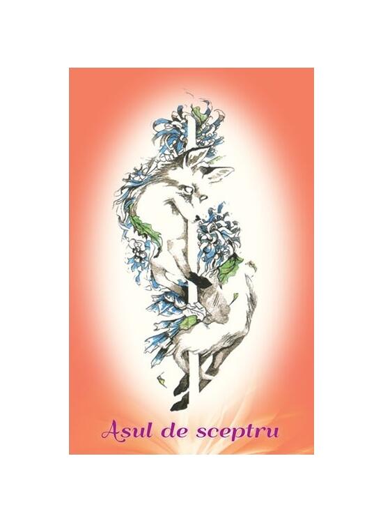 Copertă produs Tarotul aventurierului benefic extraordinar de curajos - gallery big 4