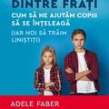 Copertă produs Rivalitatea dintre frați - gallery small 