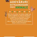 Copertă produs 500 de adevăruri extraordinare despre animale - gallery small 