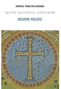 Copertă produs Despre păcate