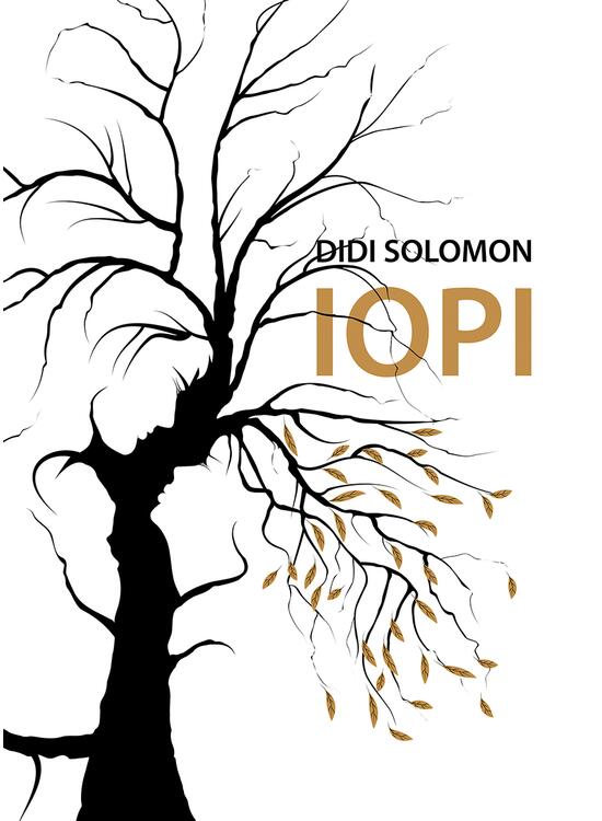 Copertă produs Iopi - gallery big 1