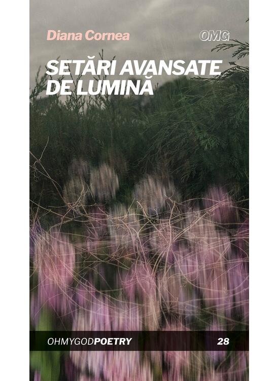 Copertă produs Setări avansate de lumină - gallery big 1