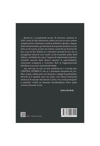 Copertă produs Avataruri ale jazzului în literatura universală