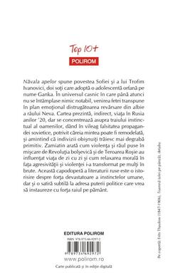 Copertă produs Năvala apelor