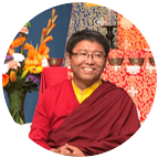 Fotografie autor Tsoknyi Rinpoche