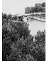 Copertă produs Prut - thumb 1