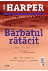 Copertă produs Bărbatul rătăcit