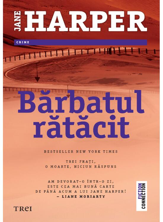 Copertă produs Bărbatul rătăcit - gallery big 1