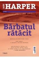 Bărbatul rătăcit