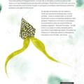Copertă produs Destinul Prințesei de Nor - gallery small 