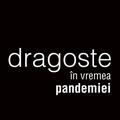 Copertă produs Dragoste &icirc;n vremea pandemiei - gallery small 