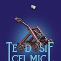Copertă produs Teodosie cel Mic - gallery small 