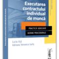 Copertă produs Executarea contractului individual de muncă - gallery small 