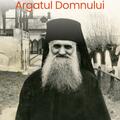 Copertă produs Părintele Ilarion - Argatul Domnului - gallery small 
