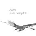 Copertă produs Avem un vis ne&icirc;mplinit (Vol. 1) - gallery small 