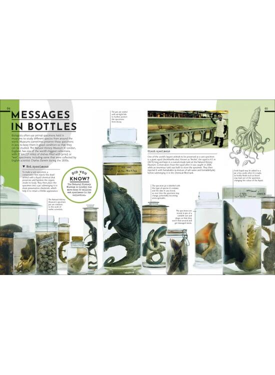 Copertă produs Behind the Scenes at the Museum - gallery big 4