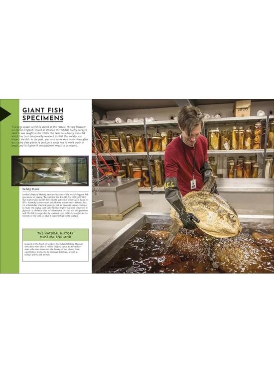 Copertă produs Behind the Scenes at the Museum - gallery big 5