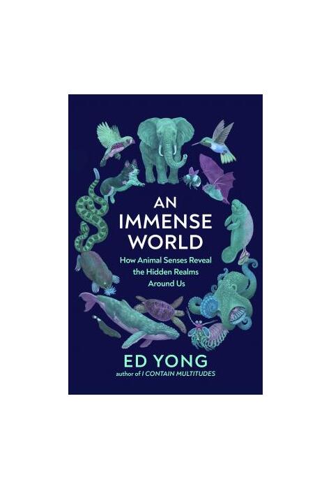 Copertă produs An Immense World