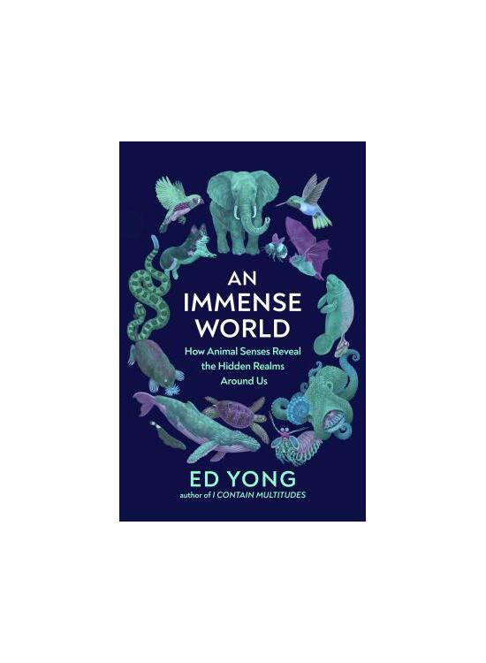 Copertă produs An Immense World - gallery big 1